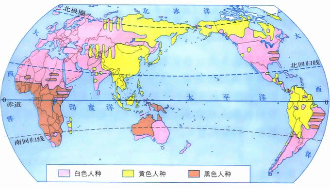 国人口基数