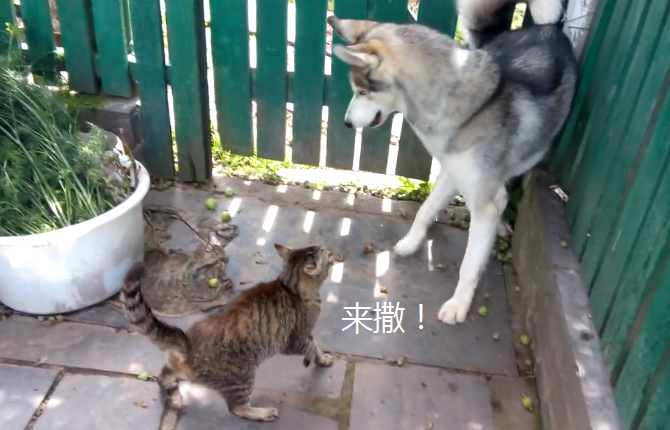 49794ff820964b84bb77dd48ffb38126.png