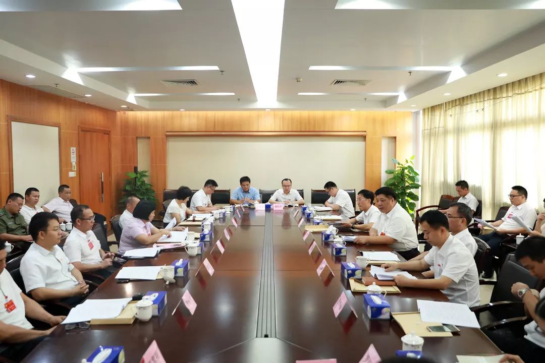 镇人大主席罗树华作《谢岗镇人民代表大会主席团2019年上半年工作报告
