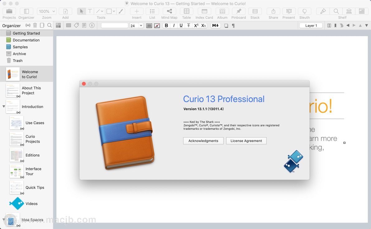 curio professional 13 for mac(思维导图工具)