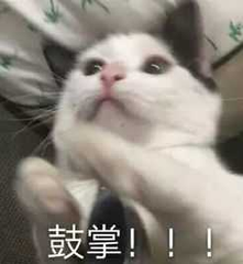 5877d1183a9744d7a68a9f7d655b837d.png