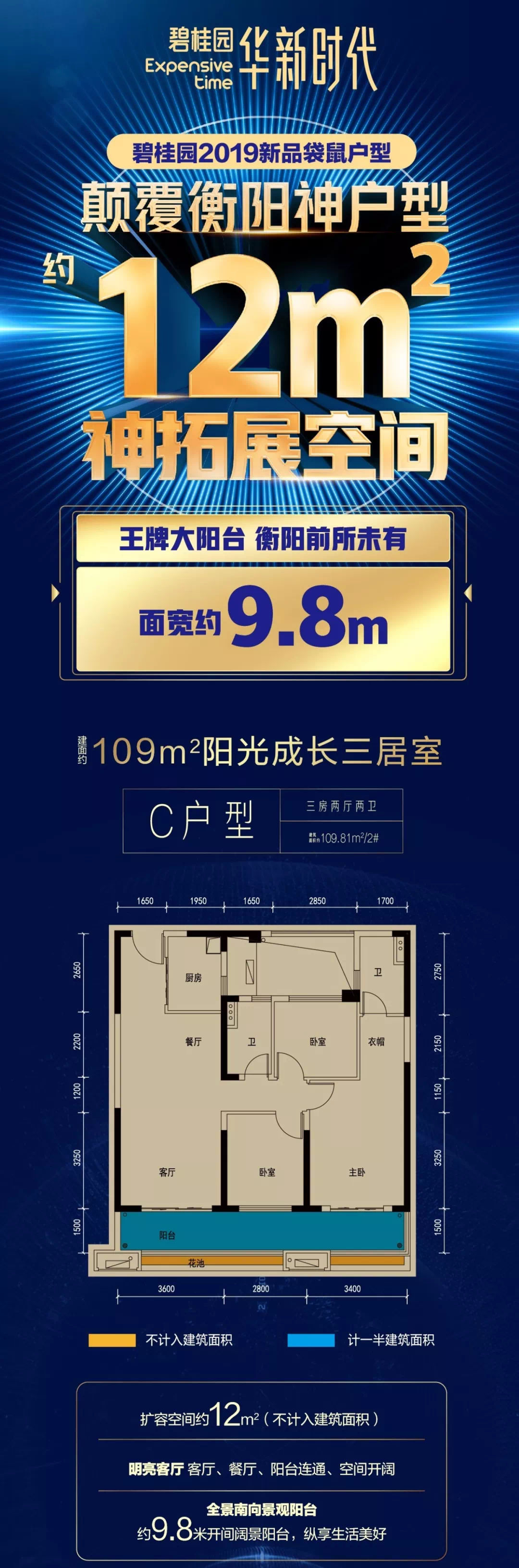 碧桂园华新时代2019全新高扩容力作定义衡阳人居