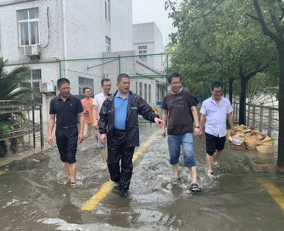 市教育局党委书记,局长王建成一行赴横河中学,横河初中,崇立美术培训