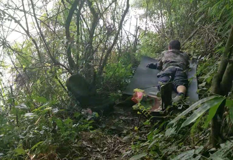 复兴镇有多少人口(3)