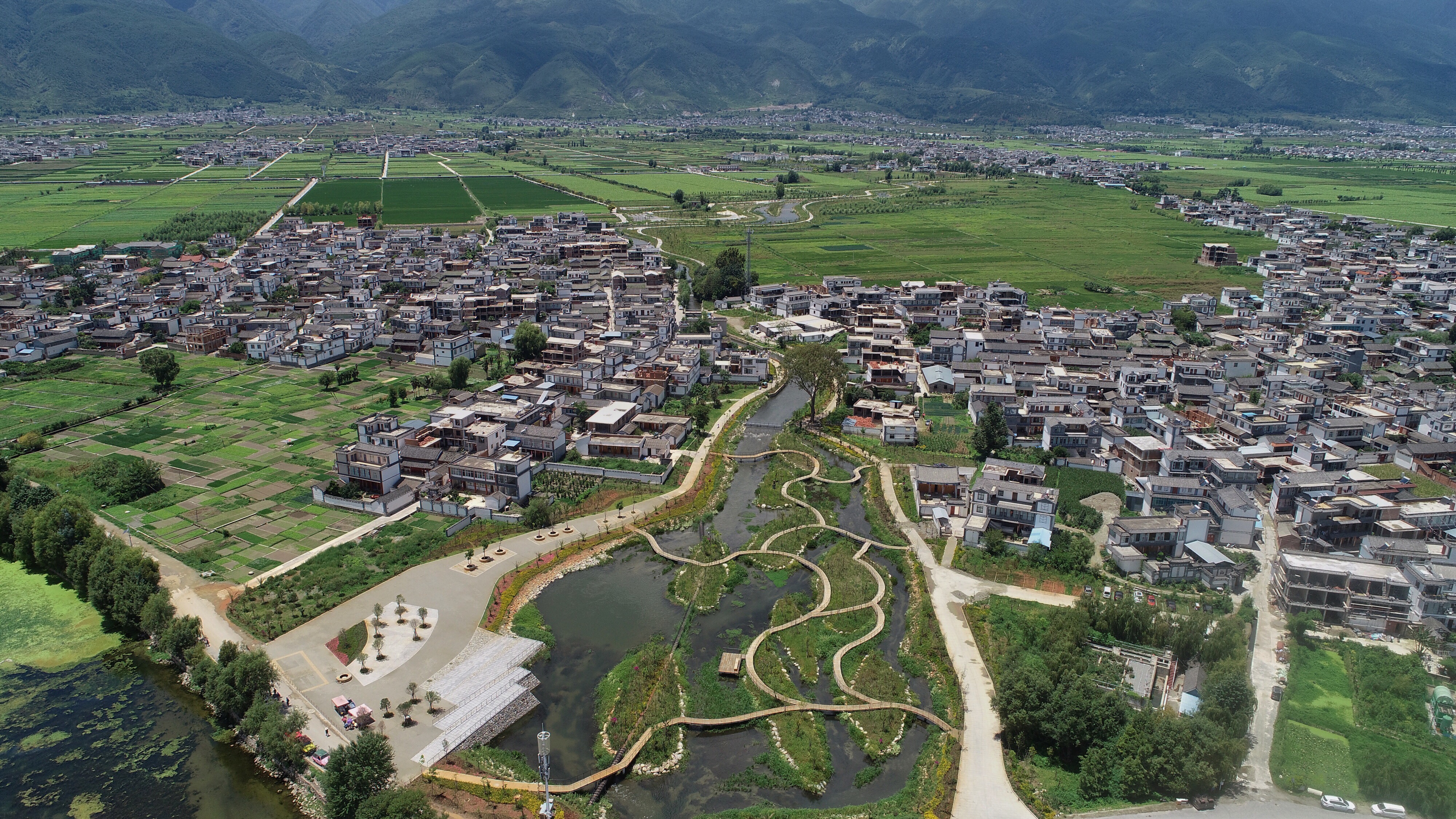 2019年8月10日大理洱海水质总体向好大理洱海的入湖河道阳溪及湿地