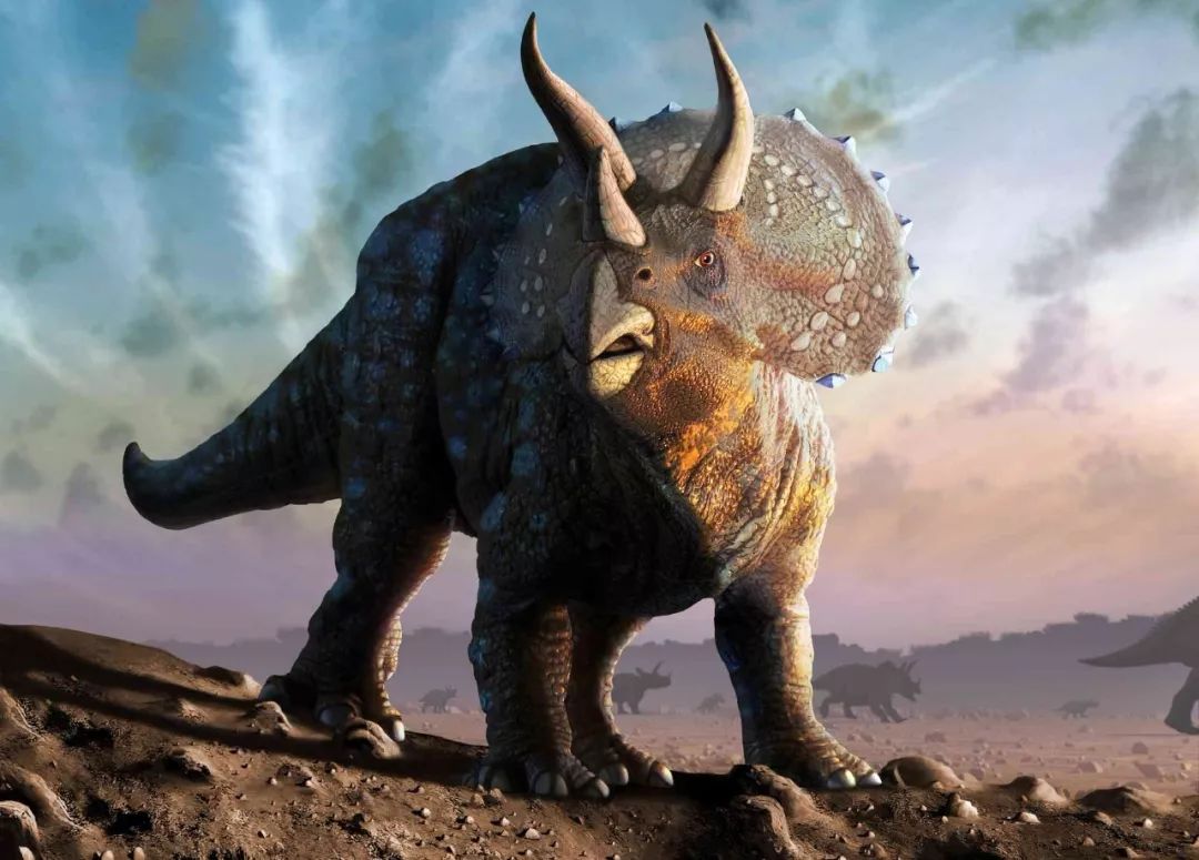 超写实恐龙--T-Rex霸王龙、Styracosaurus戟龙、Triceratops三角龙|手工艺|手办/原型|anli104 - 原创作品 - 站酷 (ZCOOL)