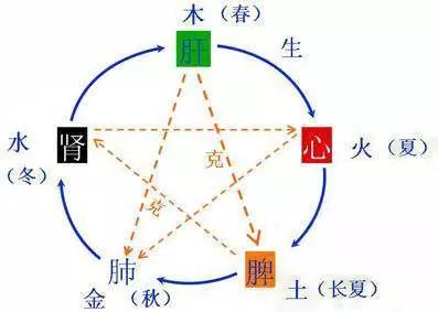 孩子|养脾最佳时间到！不做好这几点怎么行？