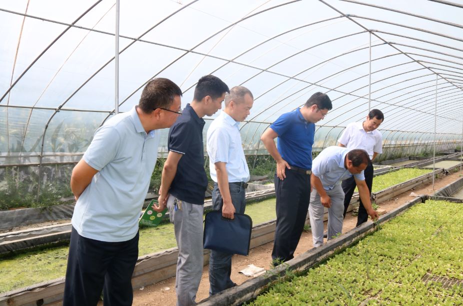 由人行宝鸡中心支行副行长王玫主持,太白县农村农业局副局长屈永平