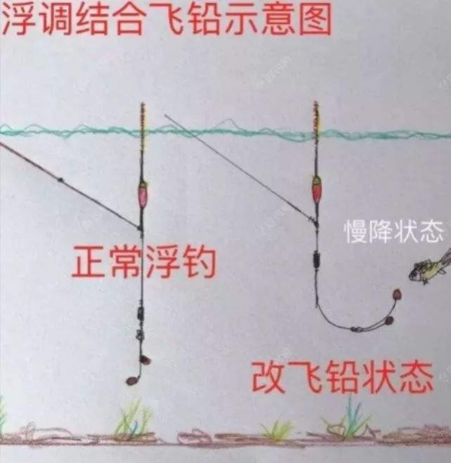 浅谈一下飞铅与跑铅钓法的优点及使用技巧