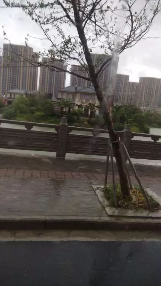 超强台风"利奇马"来袭!平湖众志成城!风在!雨在!我们在!