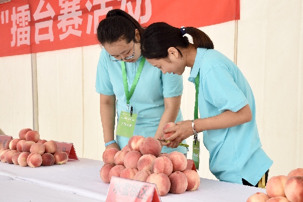 大桃人口_湖南省老年人口大省