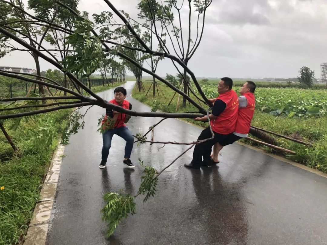 张浦多少人口_张浦镇盛巷花园图片(3)