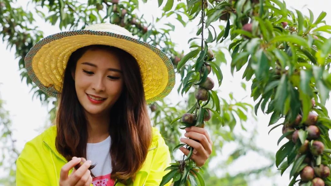 张华镇人口_张华镇盆吴村照片