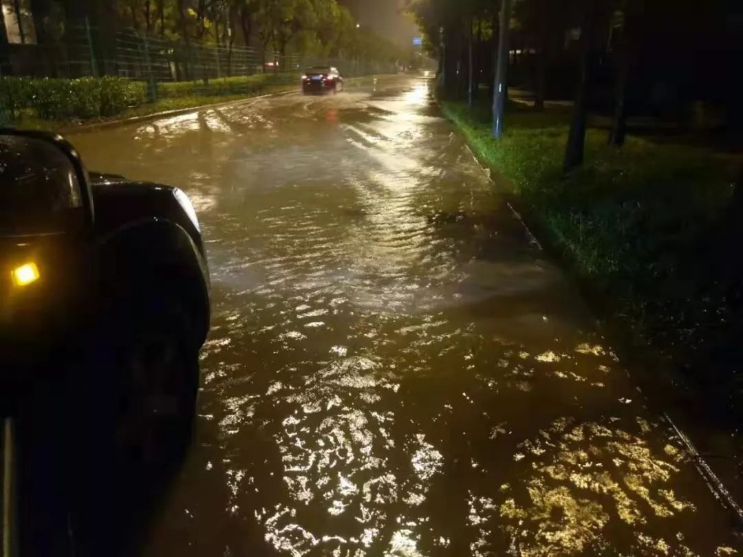 【防汛】风雨交加 感动常在——强台风"利奇马"前,有你们为长兴坚守!