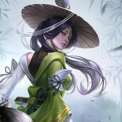 王者荣耀:钻石局必须用的英雄,婉儿,盾山可以不,必须她