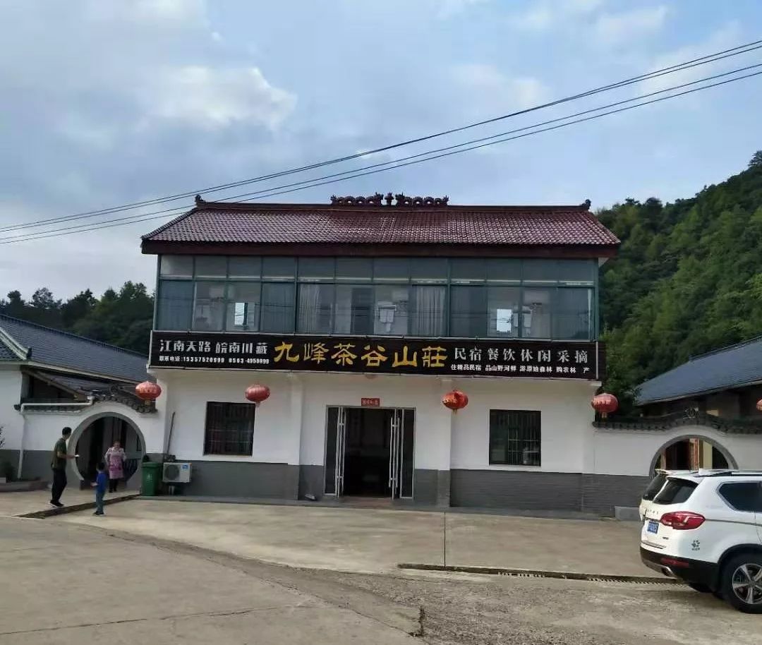 项目概况01九峰茶谷山庄寻"有缘人"安放自我游园采果累时"森"呼吸