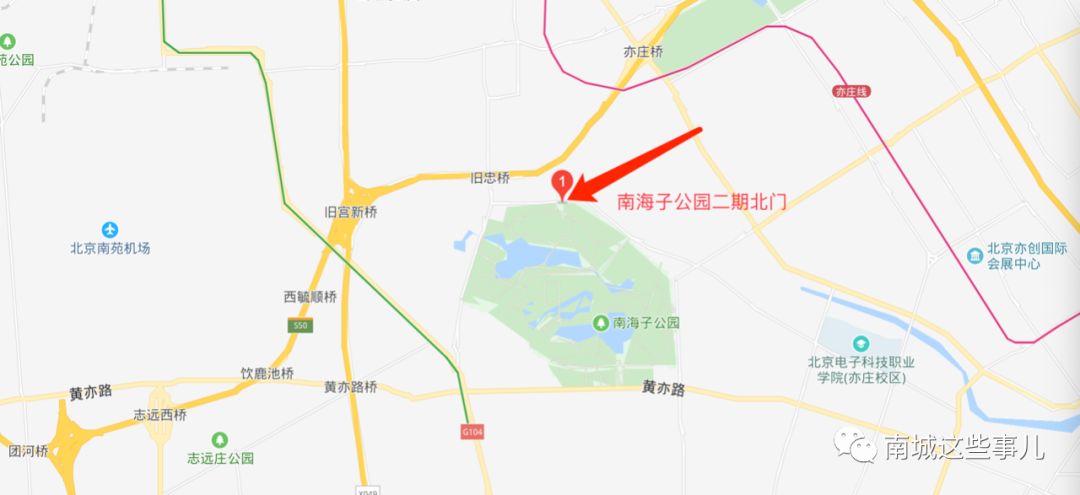 南海子公园二期开放!独家探访!美呆了!