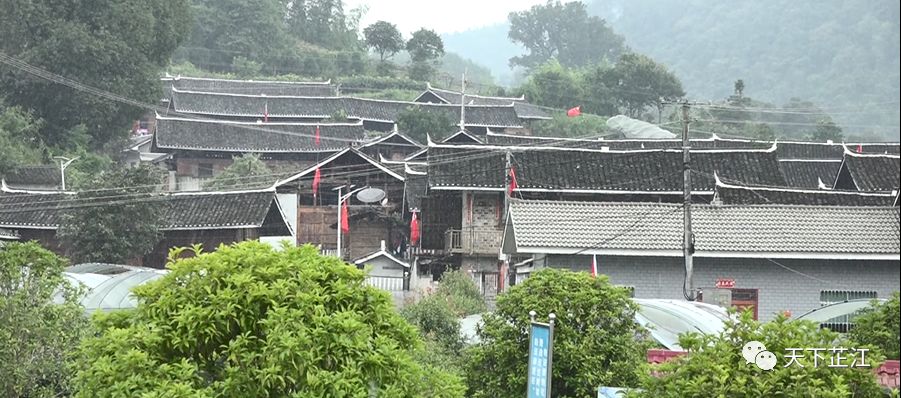 近日,记者在大树坳乡新庄村看到,数百面五星红旗在全村高高飘扬,彰显