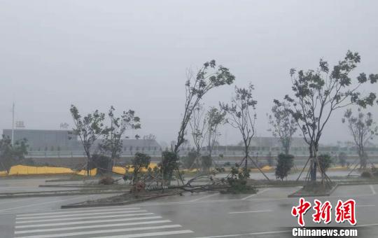 台风登陆前夕:浙江沿海城市的沉寂与闹热