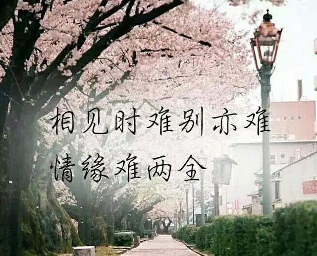 爱着一个人呼唤里得不到回应等待中心急如焚的感觉真的好疼