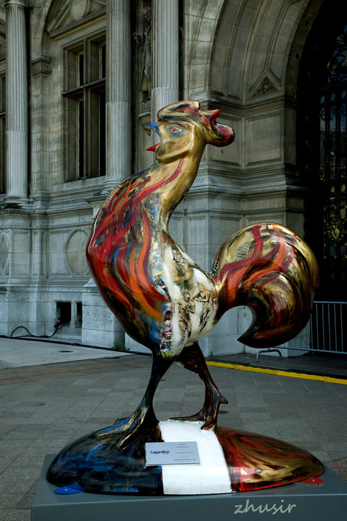 对法国我们称呼为"高卢鸡,因为高卢鸡是法兰西最古老的原产动物之一
