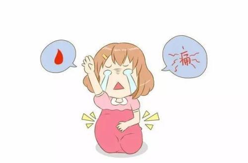 b46e398cdc7a41be8b472a45a8b40a58.jpeg