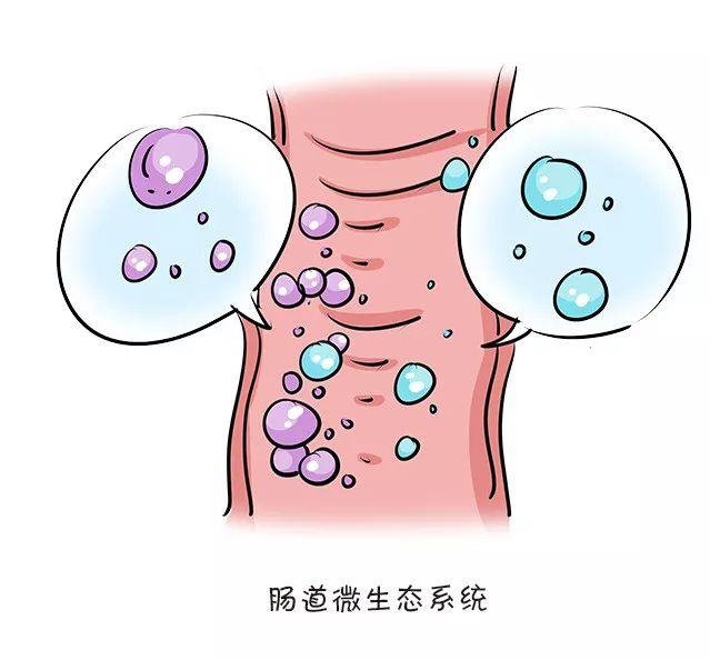                     原创            宝宝容易过敏怎么办？妈妈们提早准备，从孕期就做好防火墙！