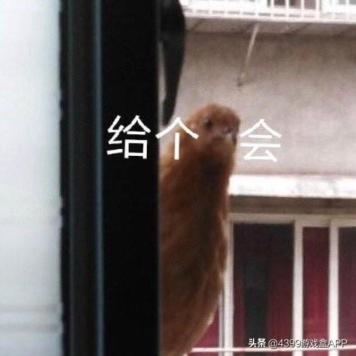 还没get网红游戏?《我要当国王》为何风靡网络