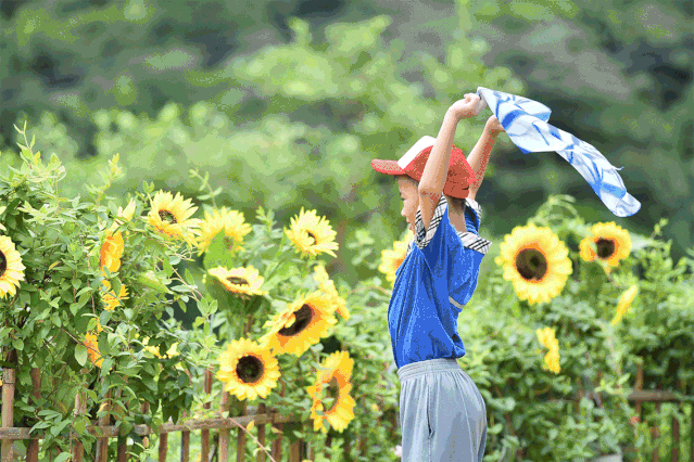 暑期夏令营满天飞不过这个夏令营很有意思