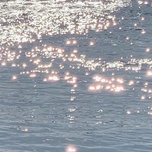 佛说:伤害你的人,其实是来渡你的 佛说:伤害你的人,其实是来渡你的