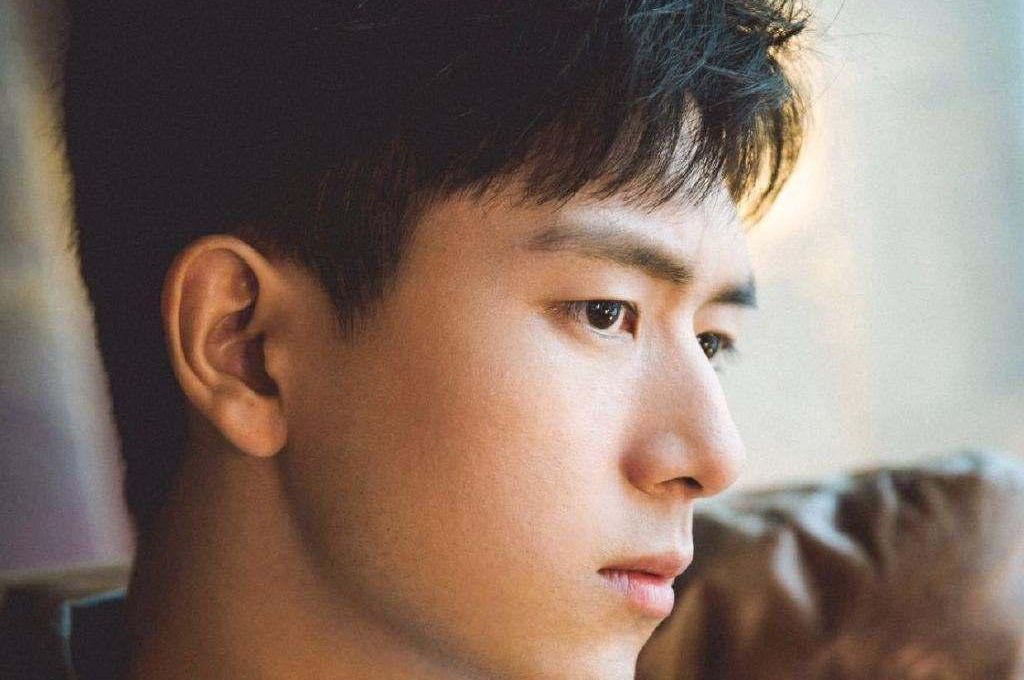 明星五官最美,王祖贤眼睛,李现鼻子,王凯的手