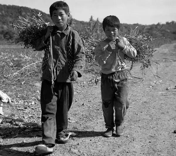1980年代,农村孩子捡黄豆.