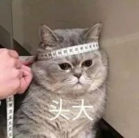 10��ֽ���רҵ����,���ʺ���ұ�������?