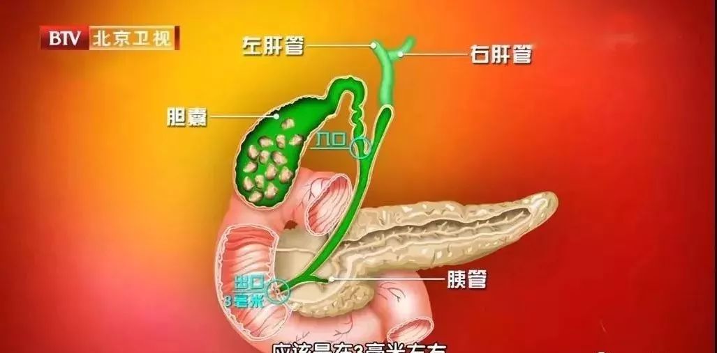 想要让肝胆协调,就要找到肝气郁结的原因,其中主要有2种情况.