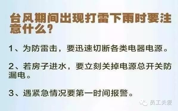1c2ed529782e4957a19e05328ec5ecc2.jpeg
