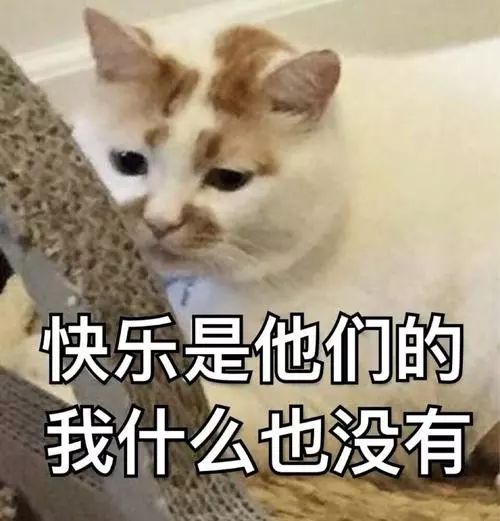 文章配图-2