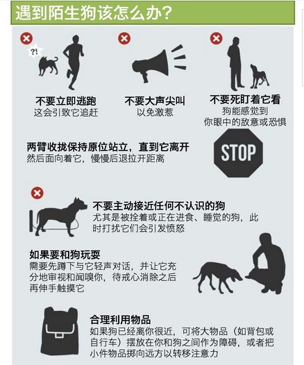 点击图片看原样大小图片