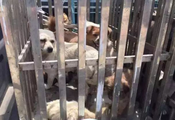 点击图片看原样大小图片