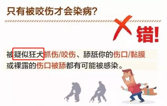 点击图片看原样大小图片