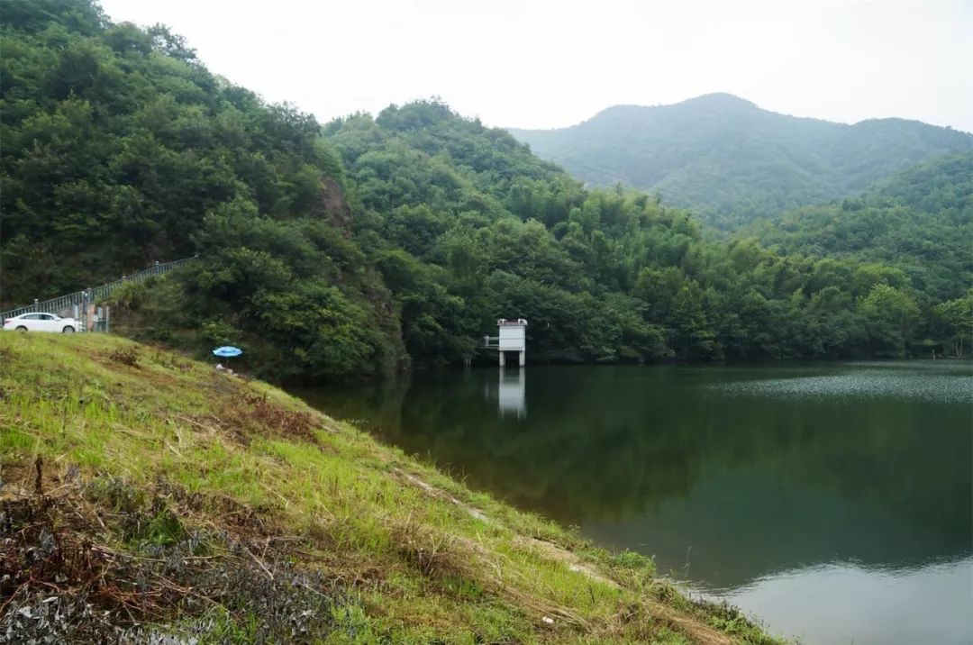 舒城: 探访天子寨旅游项目工程,结果有惊人的重大发现