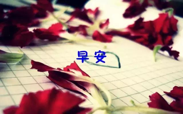 555d1db094394ce3ba5b2692e930e983.jpeg