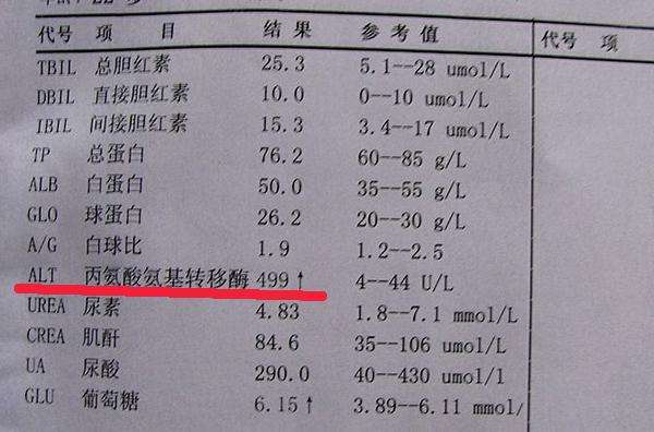 降酶药容易掩盖病情,乙肝小三阳,并非都处于冬眠期