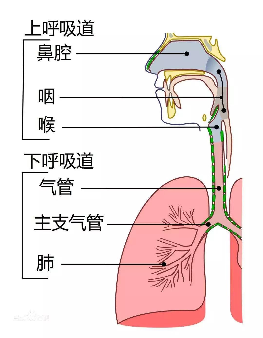 注意这4点,就能防止宝宝得4种病!