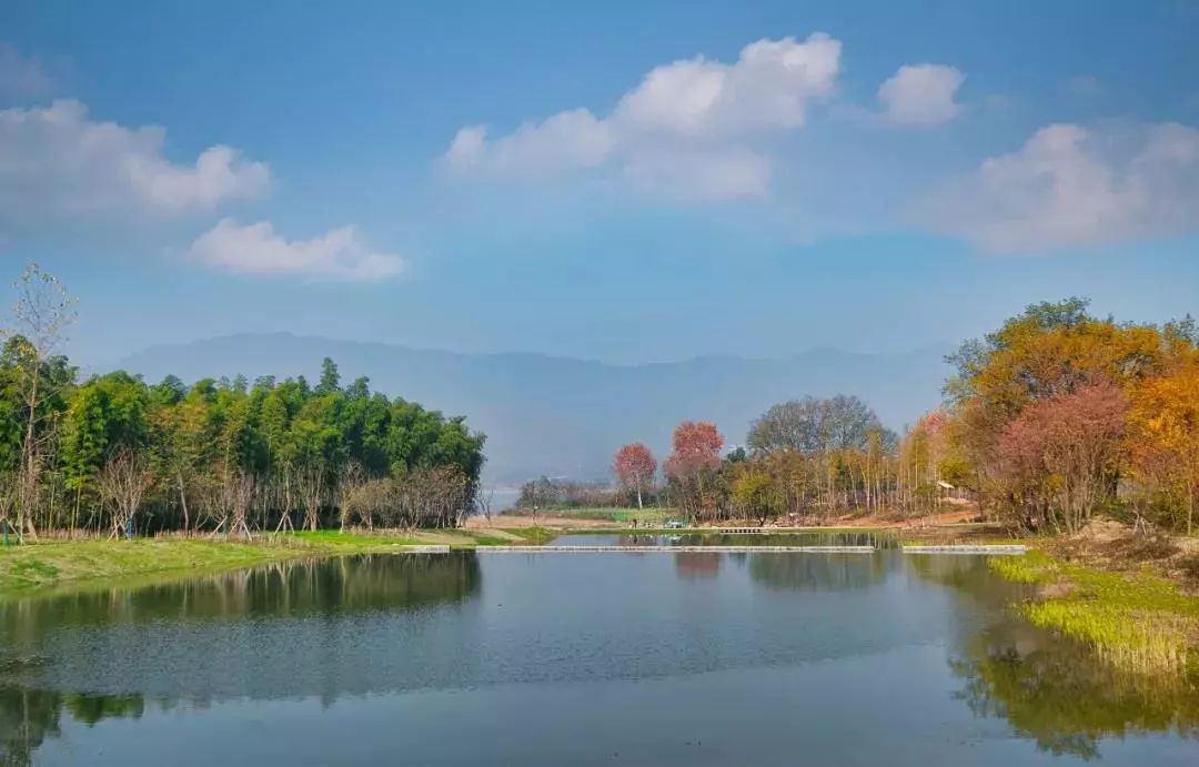 滨湖公园▲小镇食堂▲宜兴雅达健康生态产业园项目效果图坐落于阳羡