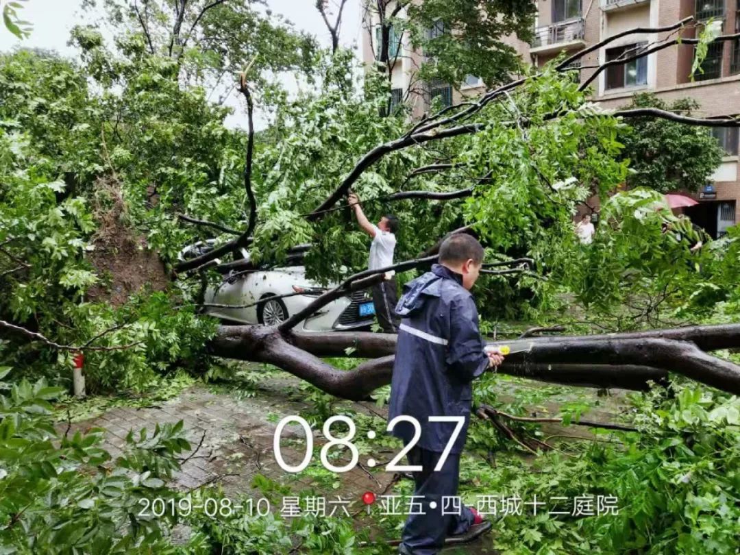 包姓人口村_绯村剑心真人(3)