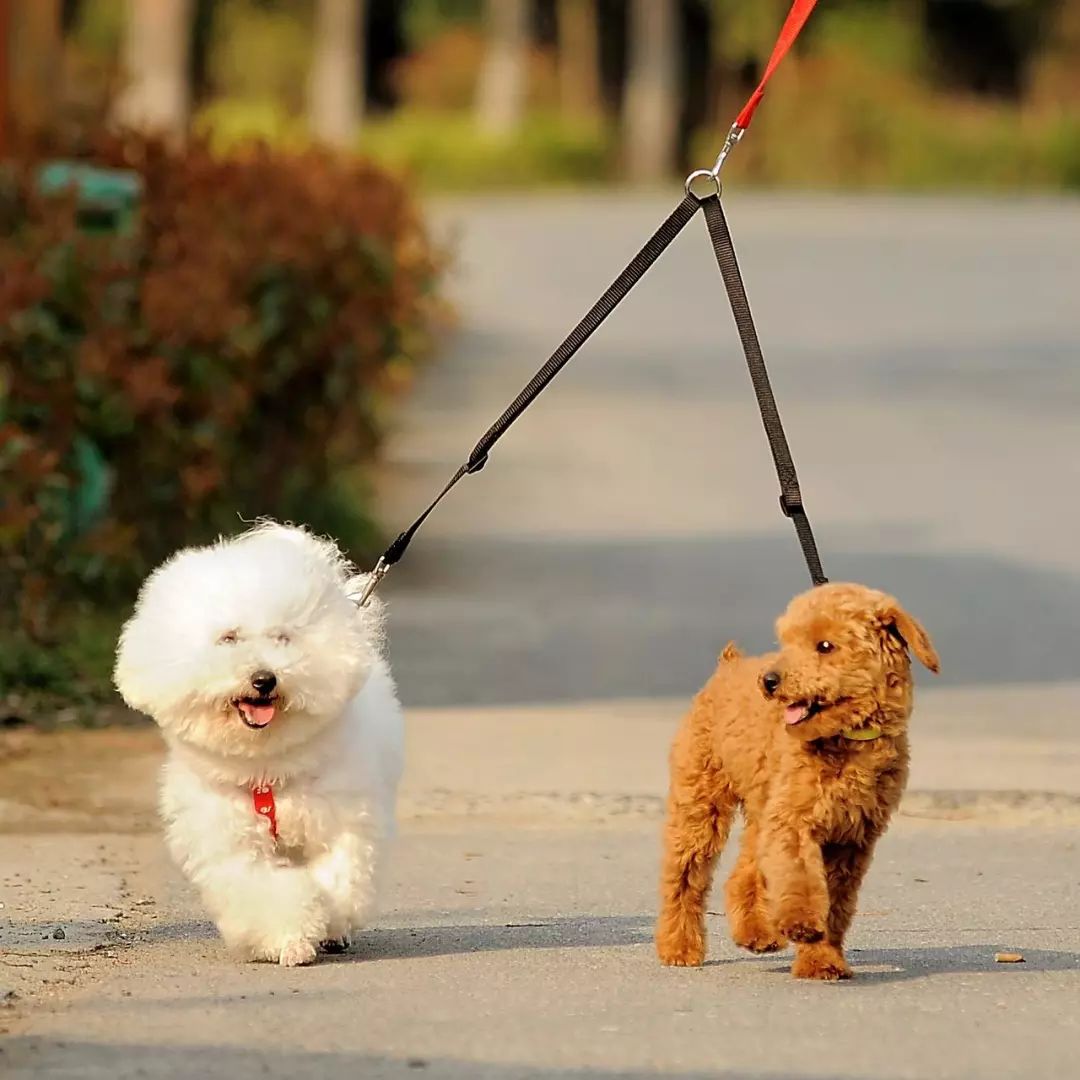 点击图片看原样大小图片