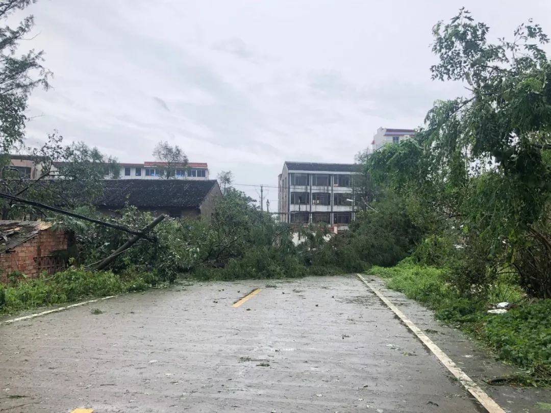 聚焦风大雨急新桥镇上下一心众志成城奋战在抗台抢险一线