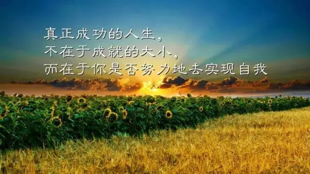 838c72b3ab22468093875da0ec808c41.jpeg