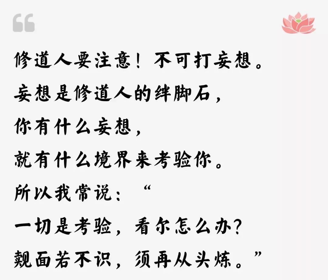 坐禅简谱_淡定小和尚坐禅图片(2)