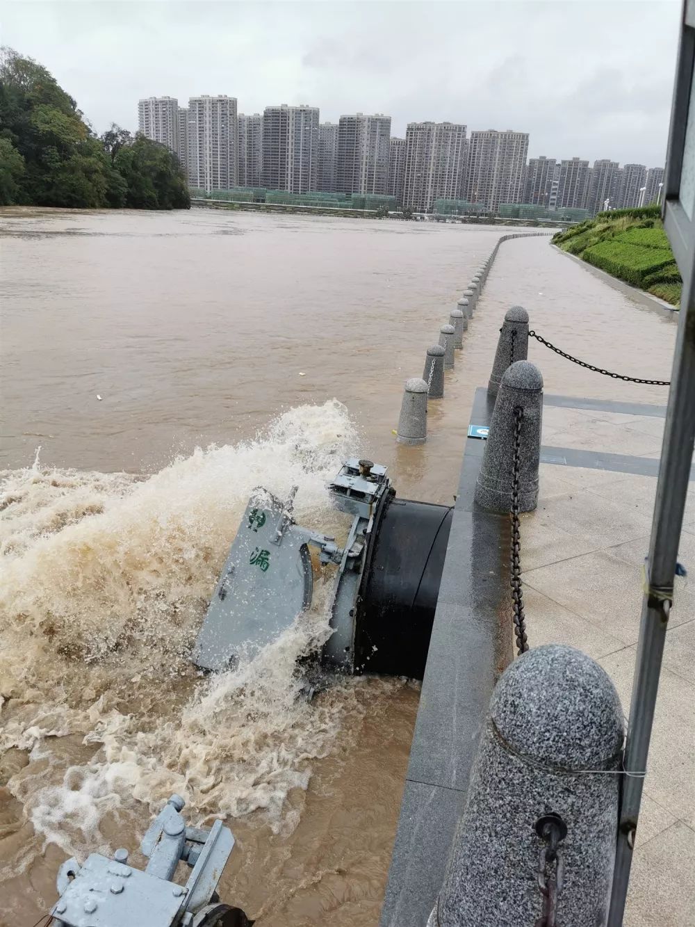 8月10日上午,莲都区秋塘水文站工作人员冒雨监测雨量,水位.